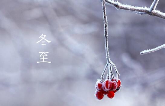 体育app押注
