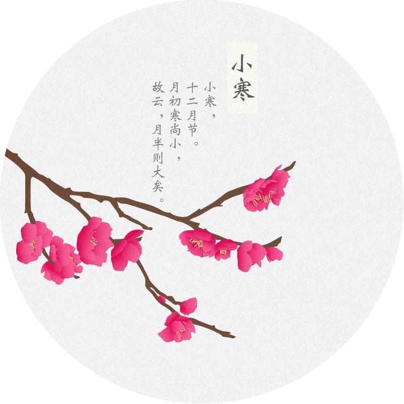 体育app押注