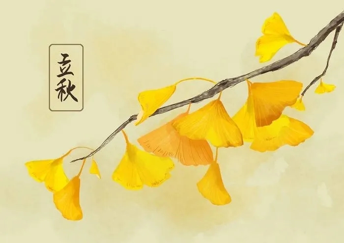 体育app押注