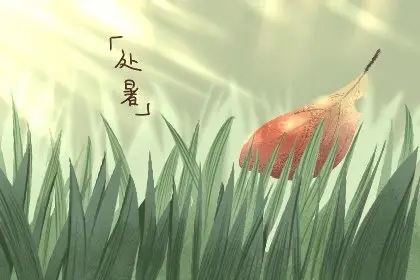体育app押注