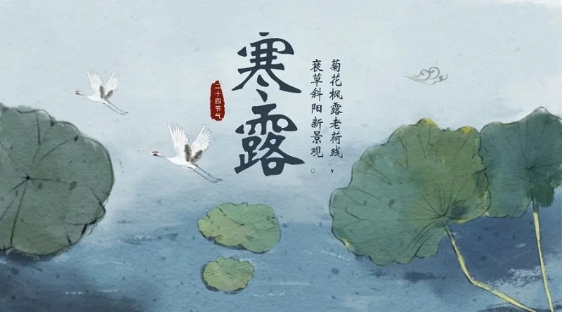体育app押注