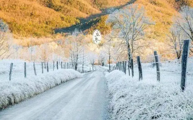 体育app押注