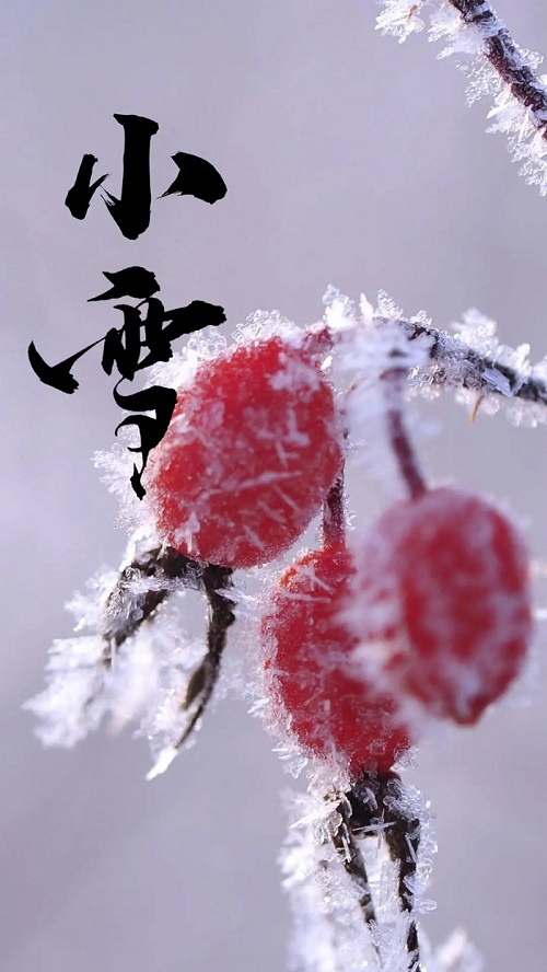 体育app押注