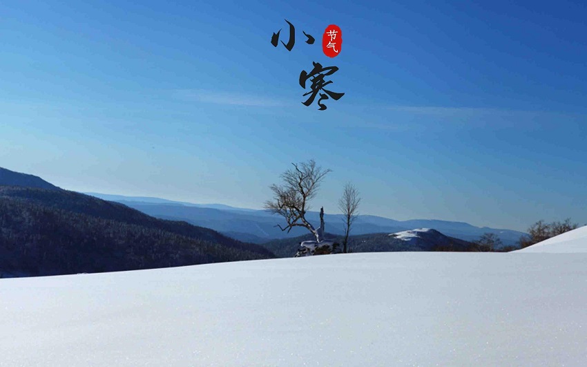 体育app押注