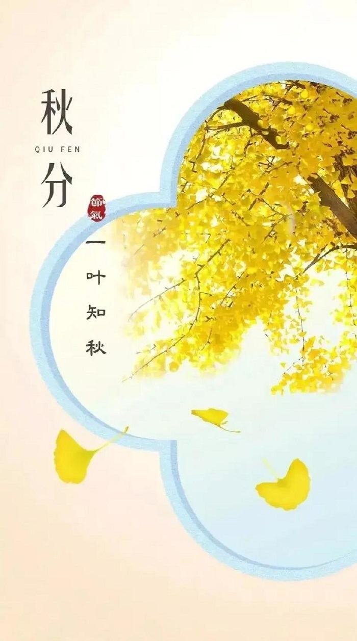 体育app押注