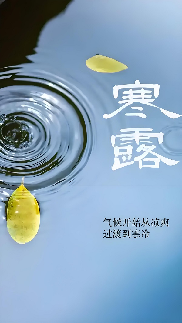 体育app押注